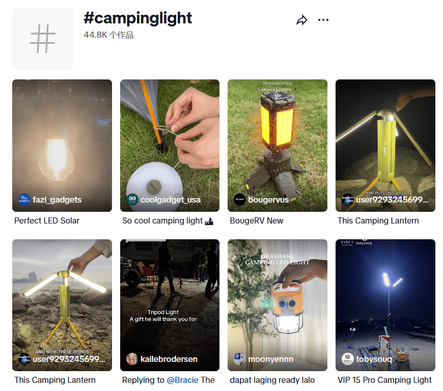 这个宁波小镇靠手电筒年捞80亿新葡京“死亡”行业里杀出血路！(图2)